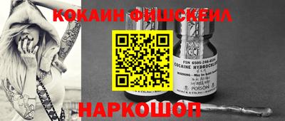 гашик Кингисепп