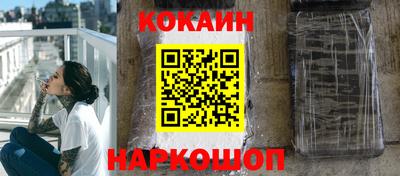 гашик Кингисепп