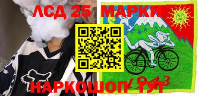крисы Камышлов