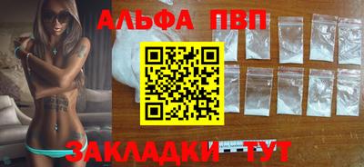 гашик Кингисепп