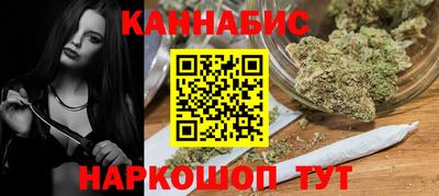 гашик Кингисепп