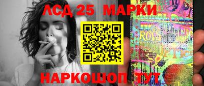 крисы Камышлов