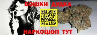 гашик Кингисепп