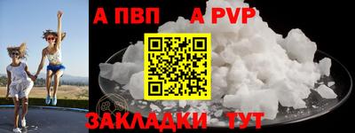 гашик Кингисепп