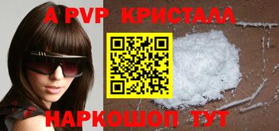 гашик Кингисепп
