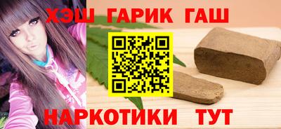гашик Кингисепп