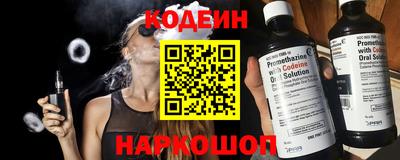 гашик Кингисепп